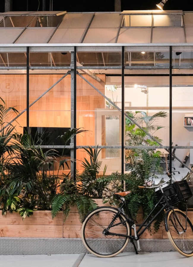 Wat kijken we op de studio?